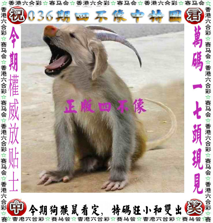 03448.com�������������С���